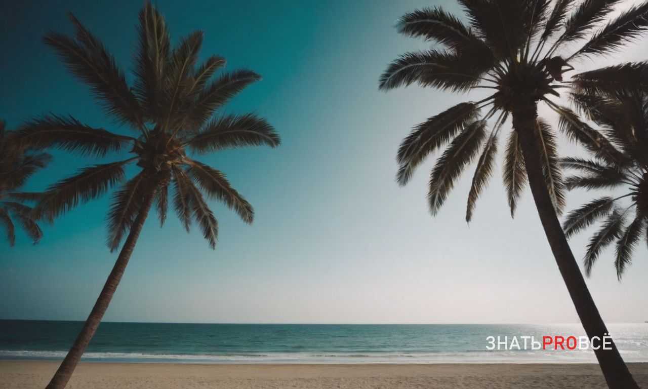 Температурные колебания