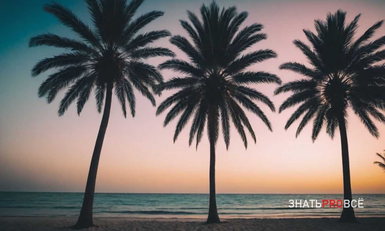 Культура инков и её наследие