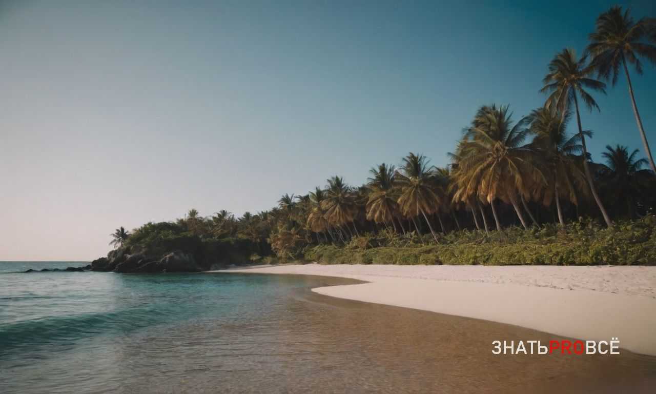 Что нужно знать о ценах на экскурсии и сафари в Южной Африке