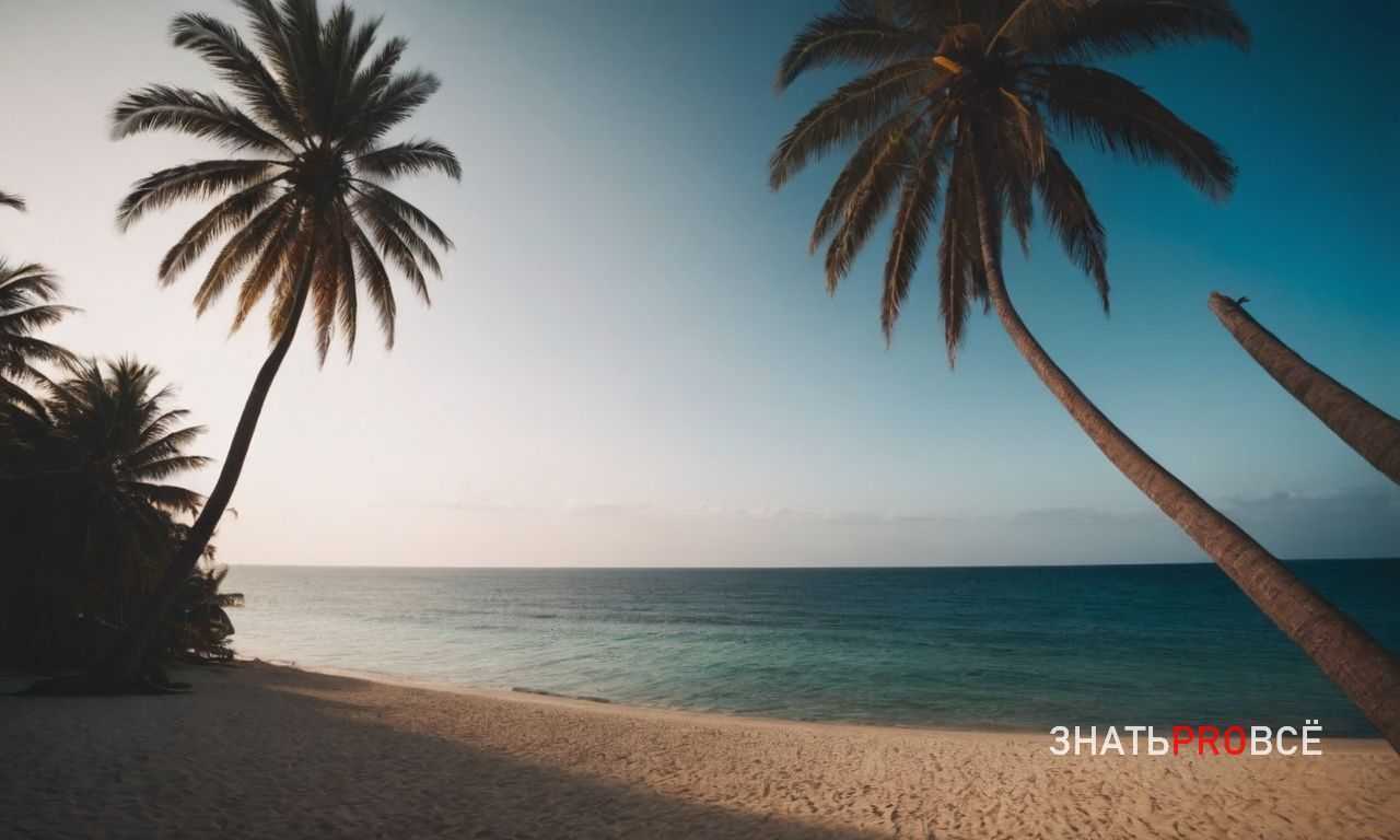 4. Национальный парк Килиманджаро