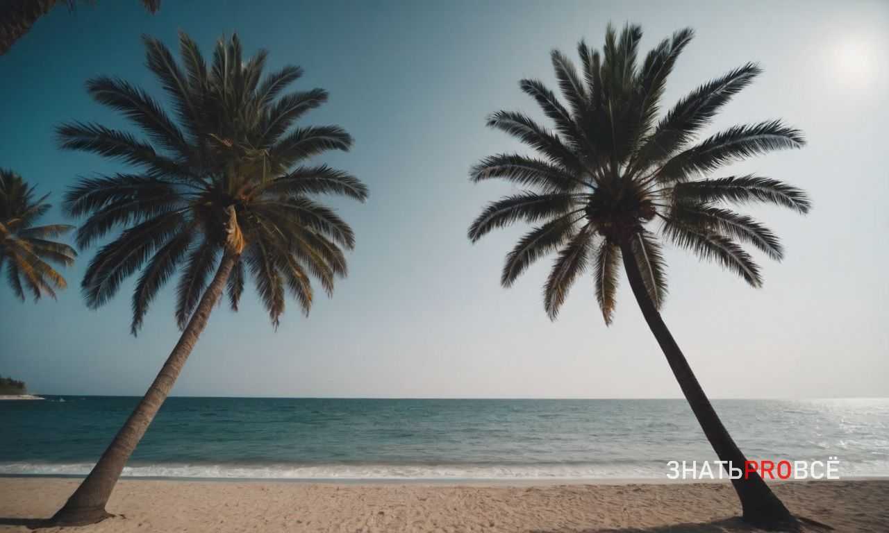 4. Преах Кан – храм на воде