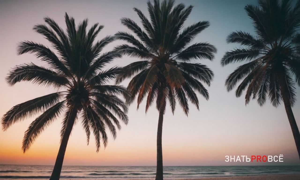 3. Приложения для перевода офлайн